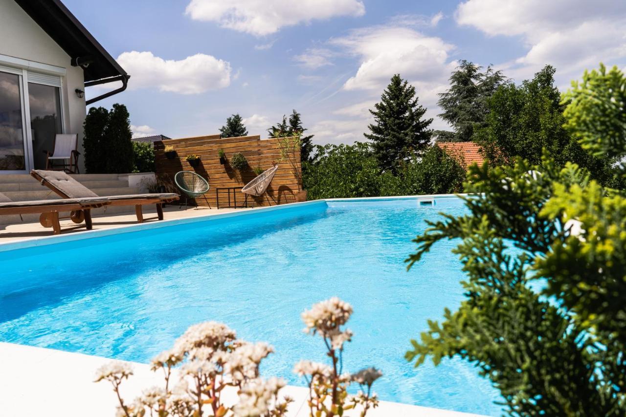 Todor Boutique House Sremska Kamenica Exterior foto